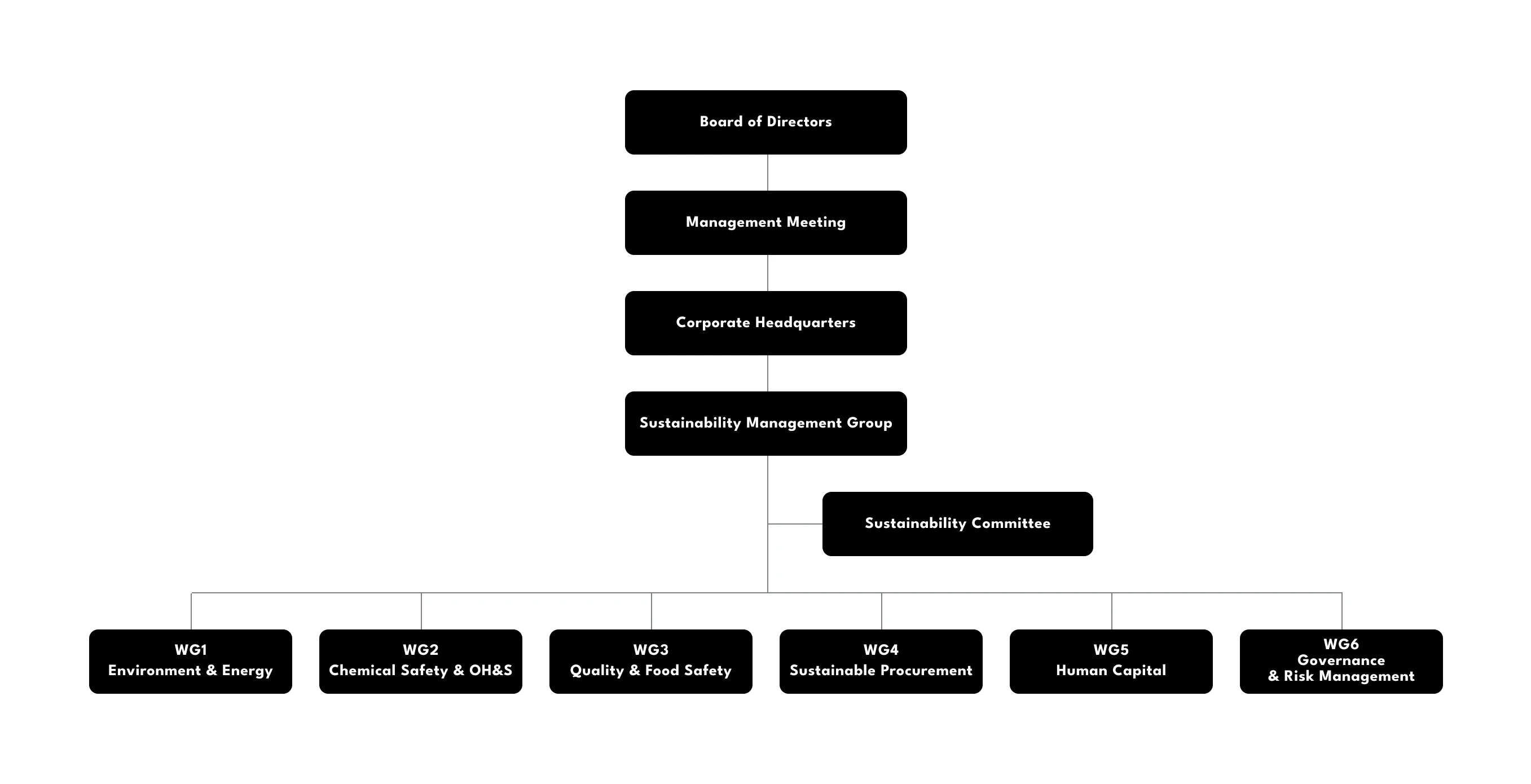 Sustainability Management Structure Image